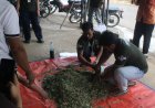 Mahasiswa KKN Mengajarkan Cara Membuat Pakan Ternak Silase