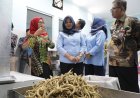 Unit Pengolahan Ikan Diresmikan, Nilai Jual Produk Semakin Tinggi