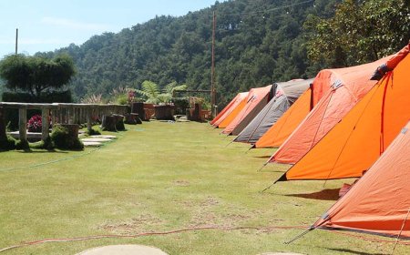 Unsoed Kaji Potensi Agrowisata Gunungsari Kopeng