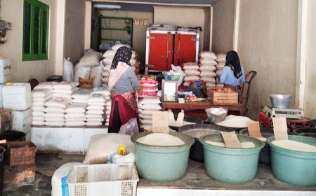 Harga Beras di Atas HPP, Pengadaan Beras Bulog Terganggu