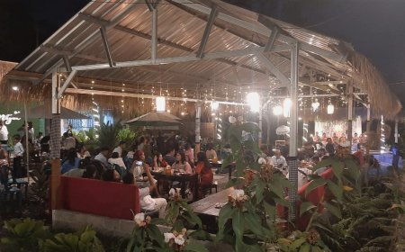 Pria Ini Mengubah Lahan Tandus di Maguwoharjo Jadi Kafe Bernuansa Alam Hijau