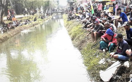 Ribuan Pemancing Memperebutkan Lele Lima Kuintal yang Ditebar di Sungai Wawar