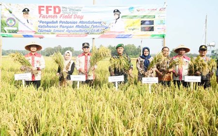 Kebumen Surplus Beras Petani Diuntungkan Harga Gabah di Atas HPP