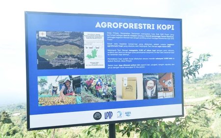 Berhasil Kembangkan Agroforestri, Pemuda Desa Mriyan Jadi Betah di Kampung Sendiri