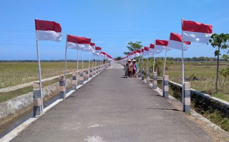 Ribuan Bendera Merah Putih Menghiasi Jalan Desa di Tengah Persawahan