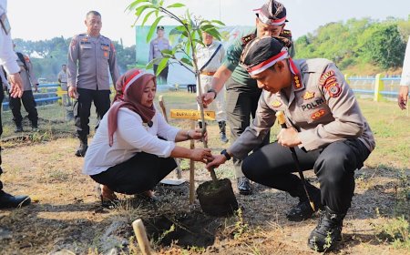 Tanam Pohon Aksi Nyata Menjaga Lingkungan