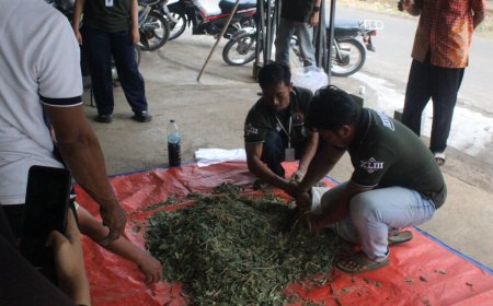 Mahasiswa KKN Mengajarkan Cara Membuat Pakan Ternak Silase
