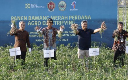 Panen Bawang Merah Melimpah, Sultan HB X Pesan Aja Malima