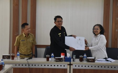 Tim BPK RI Memeriksa Kinerja Pemkab Sleman