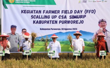 Simurp Menguntungkan Petani, Hasil Panen Meningkat Lebih 1,2 Ton