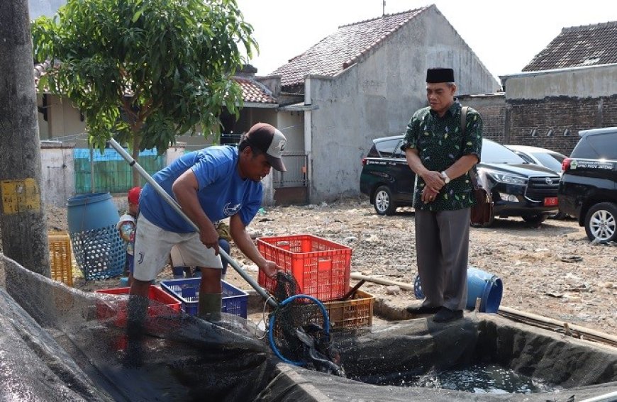 Tinjau Kampung Lele Boyolali, DPRD Jateng Dorong UMKM Mengembangkan Produk Olahan Ikan