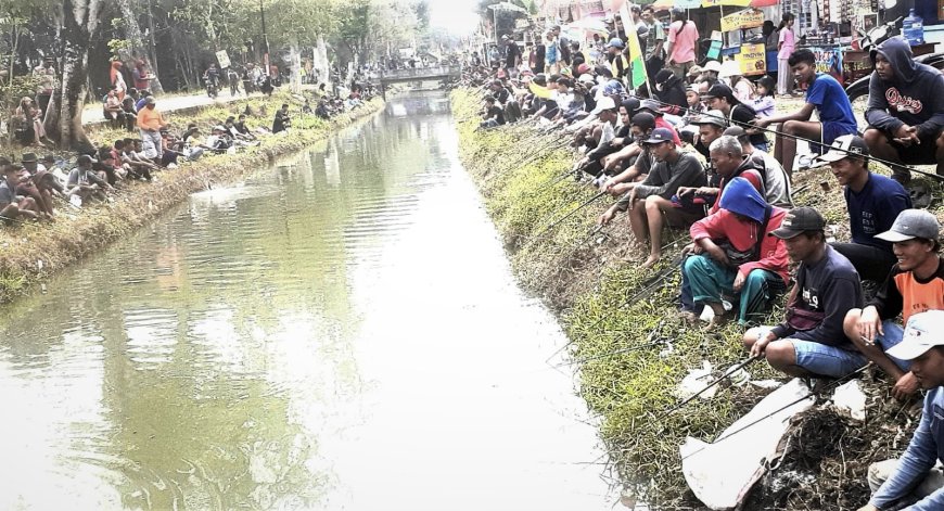 Ribuan Pemancing Memperebutkan Lele Lima Kuintal yang Ditebar di Sungai Wawar