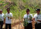 Bersama PLN EPI, Sultan HB X Panen Perdana Pakan Ternak di Gunungkidul