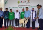Warga Miskin Esktrem di Imogiri Bantul Peroleh Bantuan Ternak Kambing