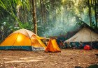 UGM Mengembangkan Inovasi Berbasis Sinergi