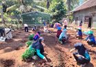 Perangi Stunting, Tim STIKES Surya Global Yogyakarta Tanam Kelor dan Budi Daya Lele di Gunungkidul