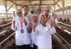 Lingkungan Terjaga, Bupati Sleman Mencanangkan Kawasan Pertanian Sehat Telur Ayam Ras