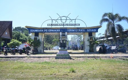 Eduwisata Peternakan Sapi Terbengkalai Tiga Tahun