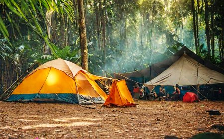 UGM Mengembangkan Inovasi Berbasis Sinergi