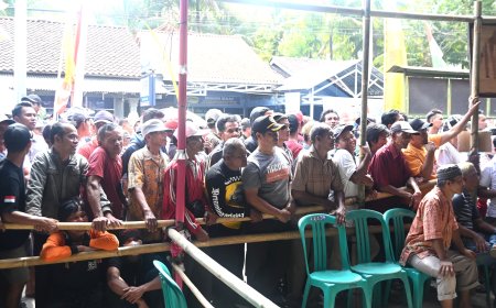 Pilkades Serentak Kabupaten Kebumen, dari 33 Calon Kepala Desa Petahana 17 Orang Terpilih Kembali