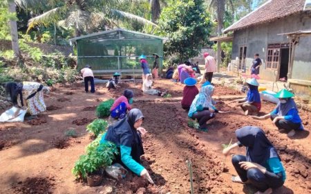 Perangi Stunting, Tim STIKES Surya Global Yogyakarta Tanam Kelor dan Budi Daya Lele di Gunungkidul