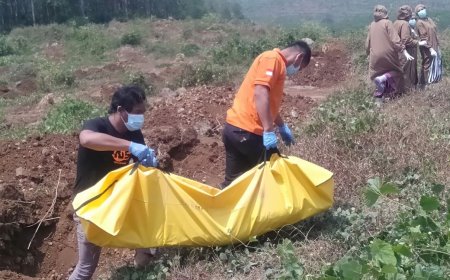 Sesosok Mayat Ditemukan di Lokasi Perkebunan Karet
