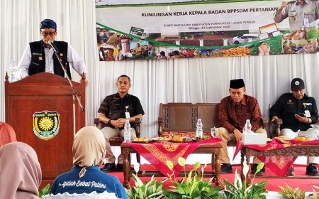 Smart Farming, Atasi Harga Beras Mahal Dengan Menekan Ongkos Produksi