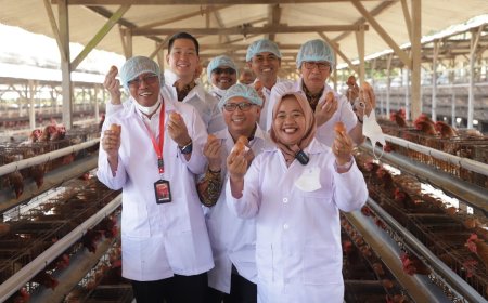 Lingkungan Terjaga, Bupati Sleman Mencanangkan Kawasan Pertanian Sehat Telur Ayam Ras