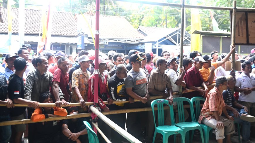 Pilkades Serentak Kabupaten Kebumen, dari 33 Calon Kepala Desa Petahana 17 Orang Terpilih Kembali