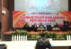 Peternak Ayam Petelur Desak Pemerintah Impor Jagung Secepatnya