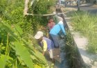 Cegah Tikus Berkembang Biak, Warga Desa Krecek Klaten Membersihkan Saluran Irigasi
