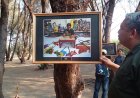    Pameran di Pohon Cemara, Lomba Fotografi Untuk Promosi Wisata