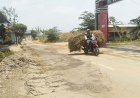 Rusak Berat Gegara Truk Material Proyek Tol, Jalan Senden-Sekarsuli Belum Diperbaiki
