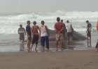 Dua Ekor Hiu Tutul Terdampar di Pantai Selatan Kebumen