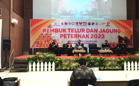 Peternak Ayam Petelur Desak Pemerintah Impor Jagung Secepatnya