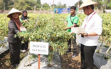 Bupati Canangkan Cabai Sehat Ramah Lingkungan
