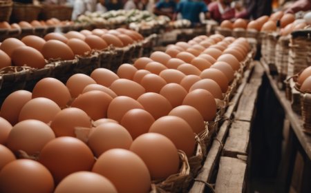 Penurunan Harga Telur dan Cabai Selamatkan Inflasi DIY