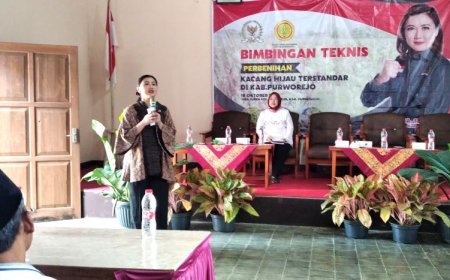 Produktivitas Kacang Hijau Unggulan Purworejo Meningkat, Kualitas Ekspor