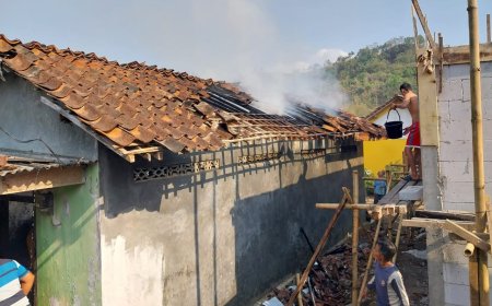 Api Tungku Menyulut Tumpukan Kayu, Dapur Bakar