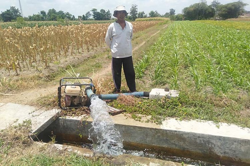 Kemarau, Begini Cara Petani Wonoboyo Mengatasi Kekurangan Air