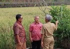 DPRD Jateng Menyusun Raperda Kedaulatan Pangan
