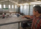 Kisah Pilu Pejuang Lingkungan di Jogja, Terpaksa Menutup JOS Gegara Kehabisan Sumber Dana