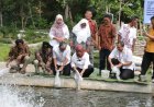 Dana Insentif Disalurkan ke Pembudidaya Ikan