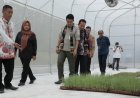 Peningkatan Mutu Holtikultura dan Perkebunan Wujudkan Ketahanan Pangan di Sleman