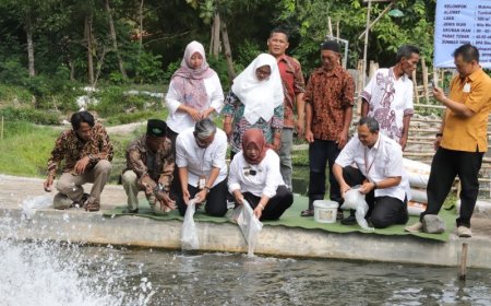 Dana Insentif Disalurkan ke Pembudidaya Ikan