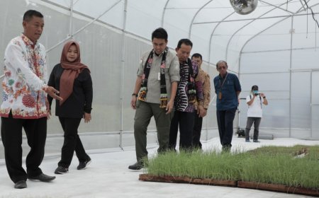 Peningkatan Mutu Holtikultura dan Perkebunan Wujudkan Ketahanan Pangan di Sleman