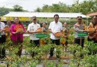 Lumbung Mataraman Kedungpoh Gunungkidul Panen Perdana