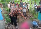 Dua Lansia Meninggal setelah Terjatuh dari Pohon