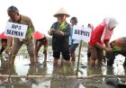 Bupati Berupaya Mempertahankan Predikat Sleman Gudang Beras DIY