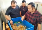 Melalui GROWTH, FIF Ingin Mendorong Kesadaran Pengolahan Sampah Rumah Tangga